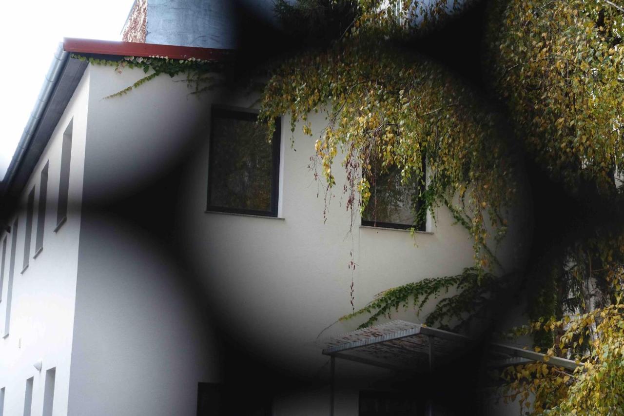 Studio U Parkplatz, Zentrale Ruhelage Neben Grunoase Daire Viyana Dış mekan fotoğraf